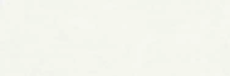 RA5X Плитка Vida Bianco Rett 30x90
